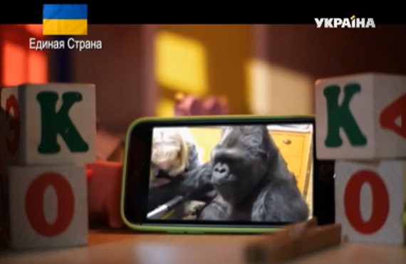 Канал Украина, Илларион Павлюк, документальный фильм, Планета обезьян, глупые дети, IQ, EQ, мудрость, правила воспитания